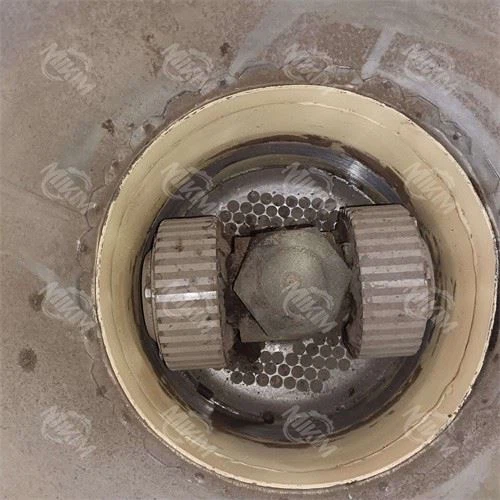 Electric Pellet Mill For Biomass